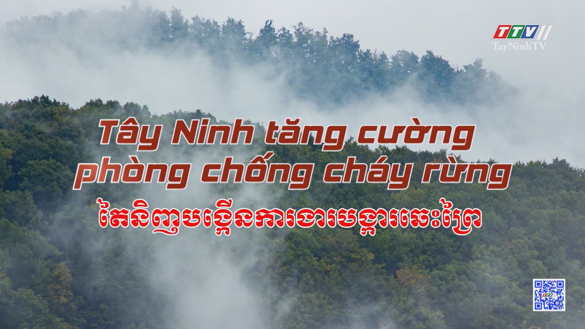 Tây Ninh tăng cường phòng chống cháy rừng | NÔNG NGHIỆP TÂY NINH | TayNinhTV